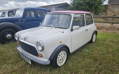Austin Mini Rose