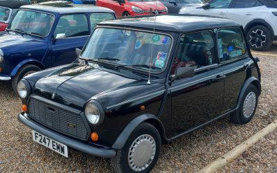 Mini Designer edition