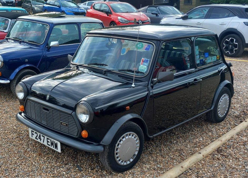 Mini Designer edition