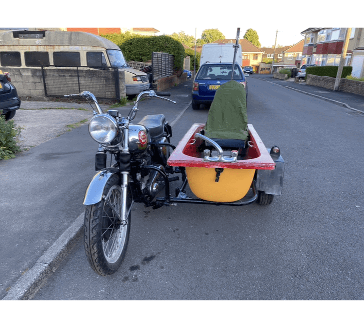 BSA goldflash